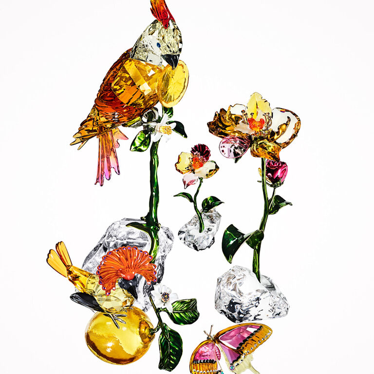 swarovski  swarovski