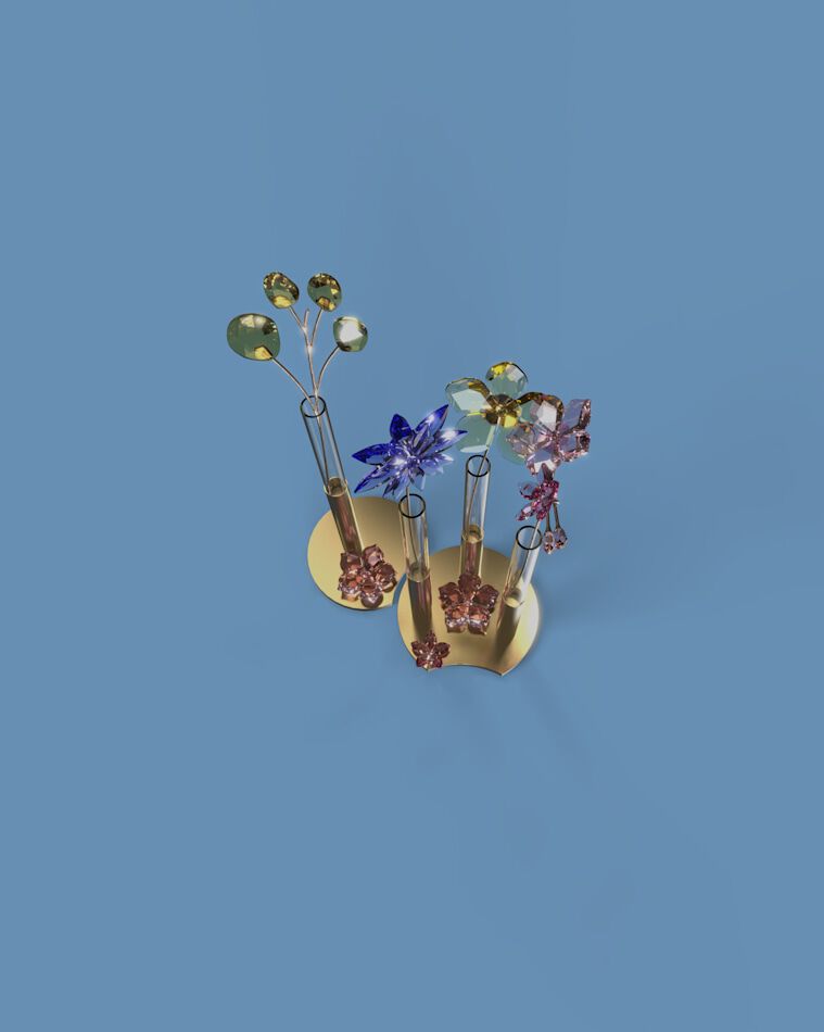 swarovski إلى البرية swarovski إلى البرية