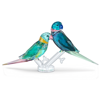 swarovski fife fifer jungle beats