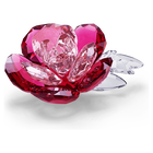 swarovski قطعة زينة crystal flowers على شكل زهرة فاوانيا