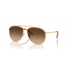 swarovski sk7005el