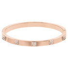 swarovski dextera