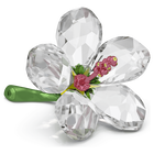 swarovski hibiscus florere