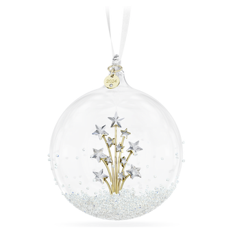 swarovski annual edition 2024