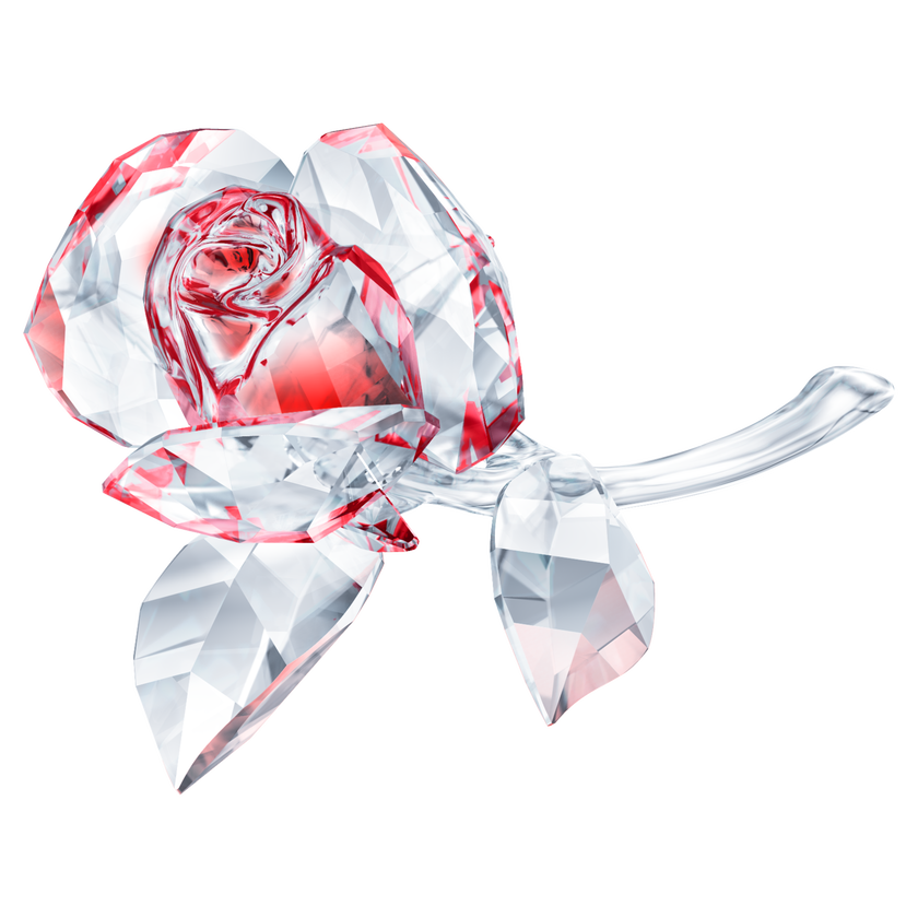swarovski زينة شكل وردة blossoming rose، لون أحمر