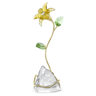 swarovski florere
