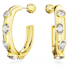 swarovski dextera