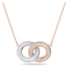 swarovski dextera