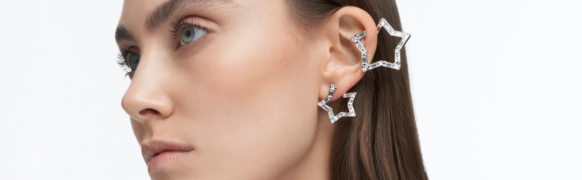 swarovski 